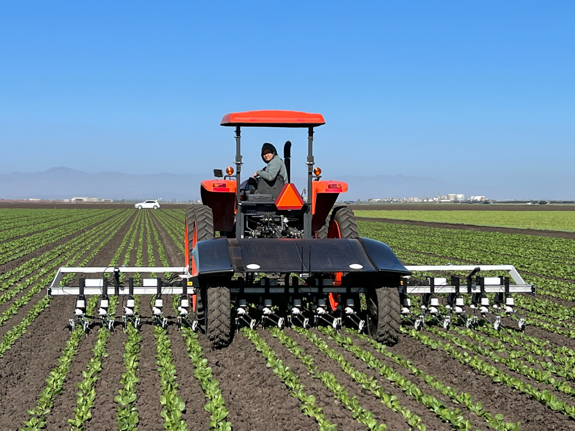 The WeedSpider Tractor Platform in crop field robotically weeding the rows of plants.